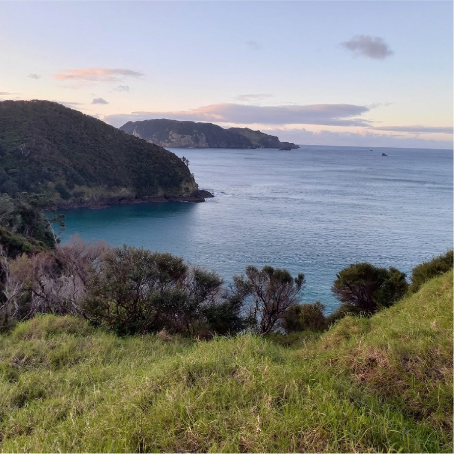Sunset over a Great Barrier Island bay
