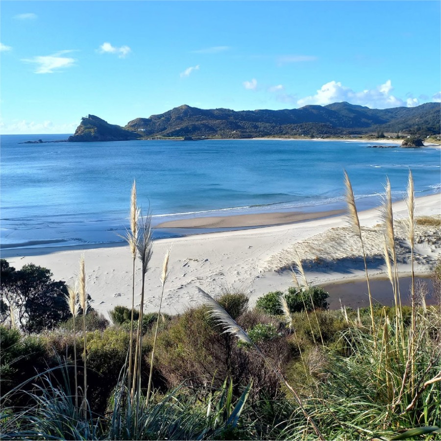 Wide beach and headland on Great Barrier Island
